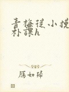 青梅从小摸到大补课h