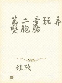 第二章玩弄少妇双胞胎