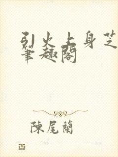 引火上身芝麻糖笔趣阁