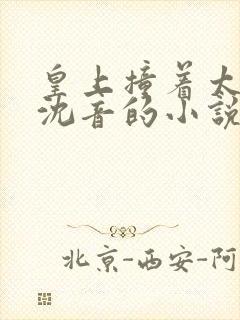 皇上撞着太子妃沈音的小说叫什么