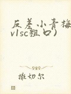 反差小青梅(1v1sc粗口)