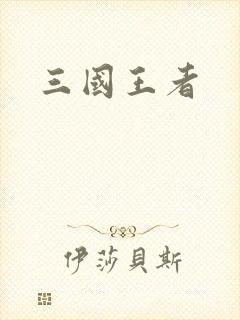 三国王者