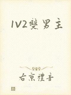 1V2双男主