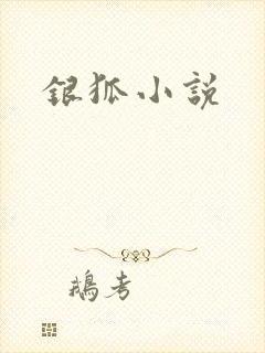 银狐小说