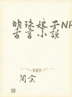 明珠娘子NPC古言小说