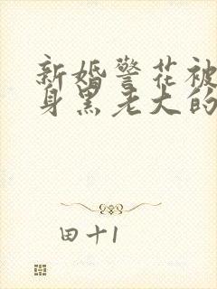 新婚警花被迫献身黑老大的小说