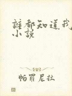 谁都知道我爱你小说