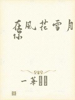 在风花雪月里等你