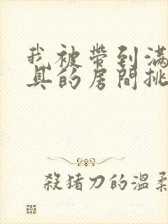 我被带到满是玩具的房间挑调游戏