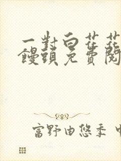 一对白花花的大馒头免费阅读