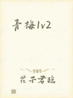 青梅1v2