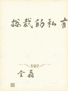 总裁的私有宝贝