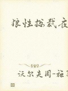 狼性总裁夜欢宠