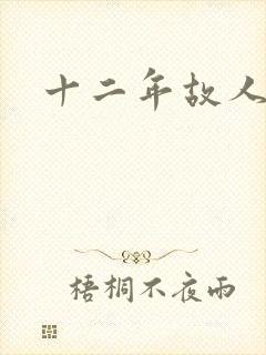 十二年故人戏