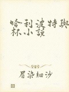 哈利波特与火焰杯小说