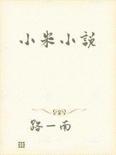 小米小说
