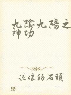 九阴九阳之阴阳神功