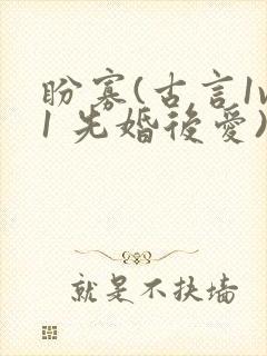 盼寡(古言1v1 先婚后爱)