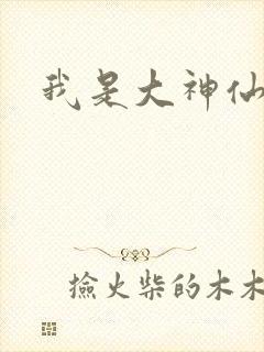 我是大神仙小说