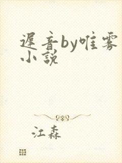 迟音by唯雾的小说