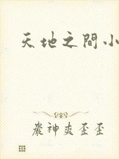 天地之间小说