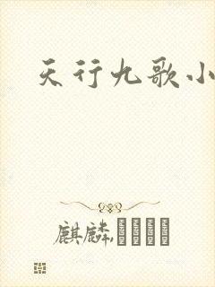 天行九歌小说