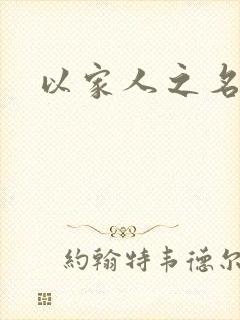 以家人之名小说