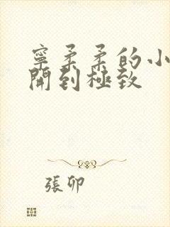 宁柔柔的小泬撑开到极致