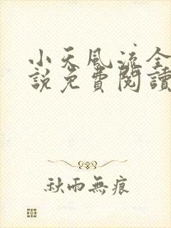 小天风流全集小说免费阅读