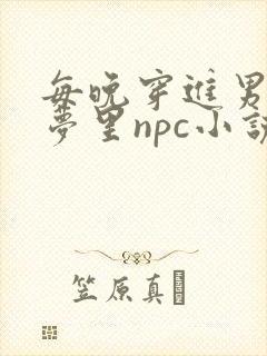 每晚穿进男神的梦里npc小说