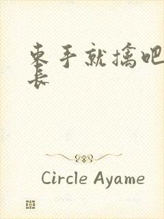 束手就擒吧韩队长