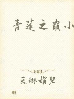 青莲之巅小说