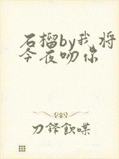 石榴by我将在今夜吻你