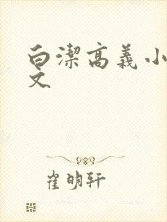 白洁高义小说全文