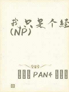 我只是个经纪人(NP)