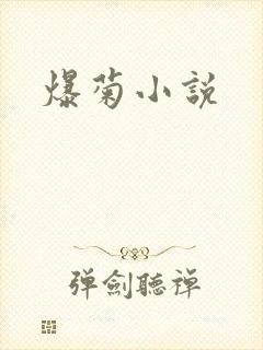 爆菊小说