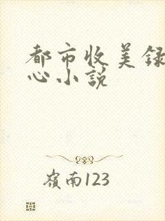 都市收美录宁素心小说