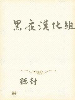 黑夜汉化组