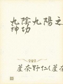 九阴九阳之阴阳神功