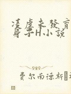 凌虐未发育的小身子H小说