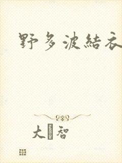 野多波结衣