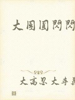 大团圆闪闪发光