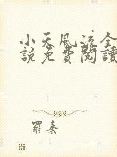 小天风流全集小说免费阅读