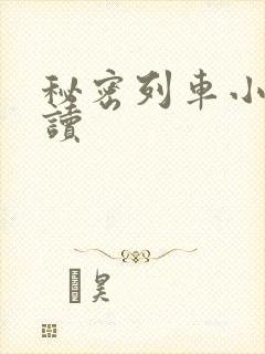 秘密列车小说阅读