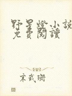 野星灯小说全文免费阅读