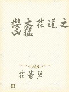 樱木花道之重生凶猛