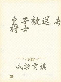 皇子被送去犒劳将士