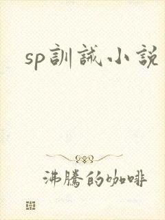 sp训诫小说