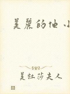 美丽的他 小说