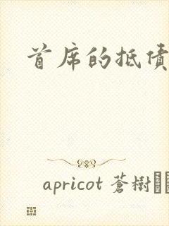 首席的抵债新娘